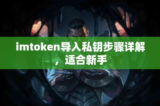 imtoken导入私钥步骤详解，适合新手
