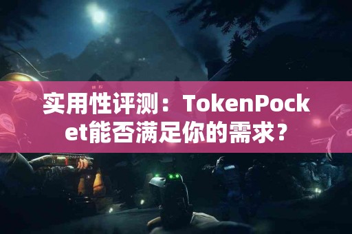 实用性评测：TokenPocket能否满足你的需求？
