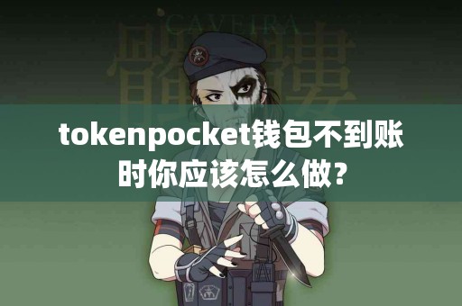 tokenpocket钱包不到账时你应该怎么做？