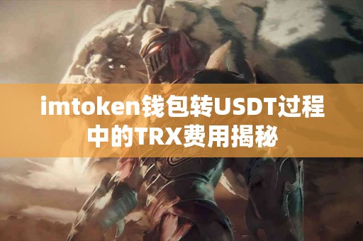 imtoken钱包转USDT过程中的TRX费用揭秘