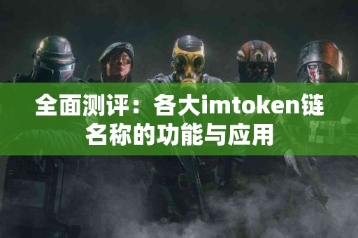 全面测评：各大imtoken链名称的功能与应用