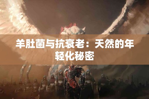 羊肚菌与抗衰老：天然的年轻化秘密
