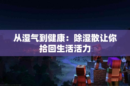 从湿气到健康：除湿散让你拾回生活活力