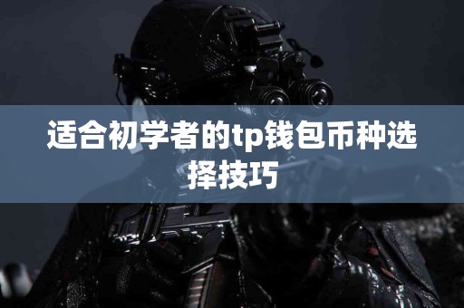 适合初学者的tp钱包币种选择技巧