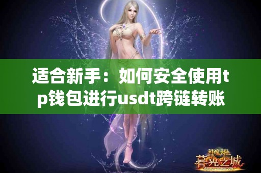 适合新手：如何安全使用tp钱包进行usdt跨链转账
