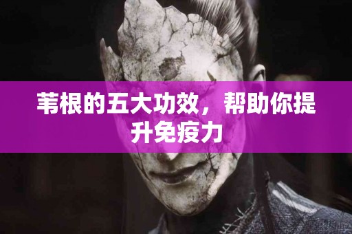 苇根的五大功效，帮助你提升免疫力