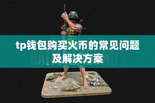 tp钱包购买火币的常见问题及解决方案