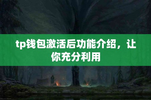 tp钱包激活后功能介绍，让你充分利用