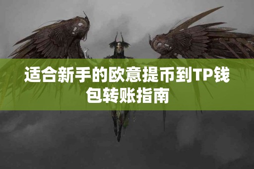 适合新手的欧意提币到TP钱包转账指南