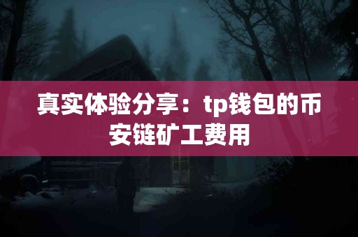 真实体验分享：tp钱包的币安链矿工费用